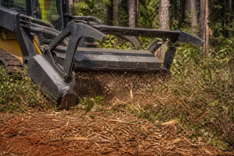 Mulching head grinding a cedar and sweetgum thicket on a Piedmont parcel while mature loblolly pines stand untouched behind the fresh chip carpet